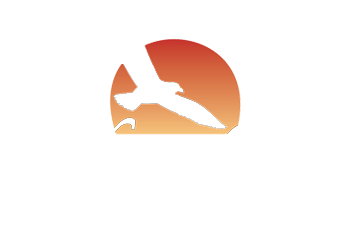 Driftwood Shores Resort