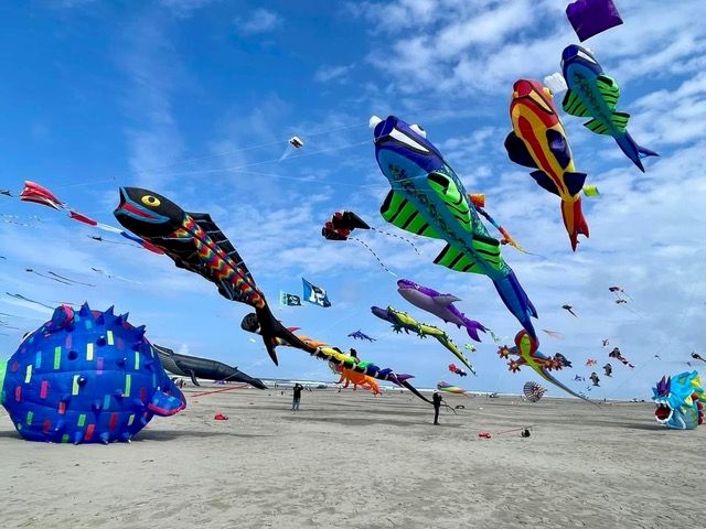 True Kite Florence Kite Festival